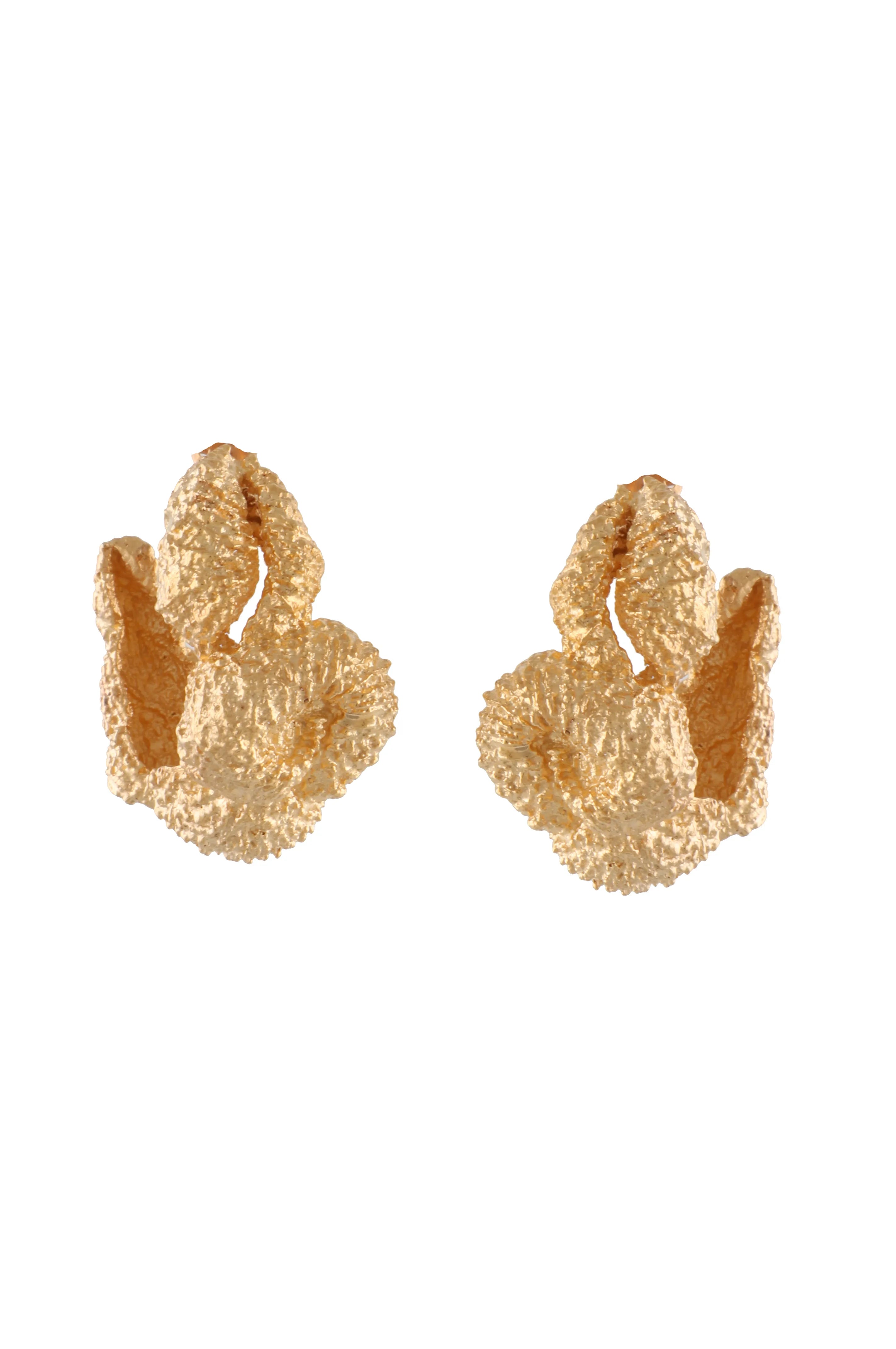 Statement Multi Seashell Hoop Earrings in Gold
