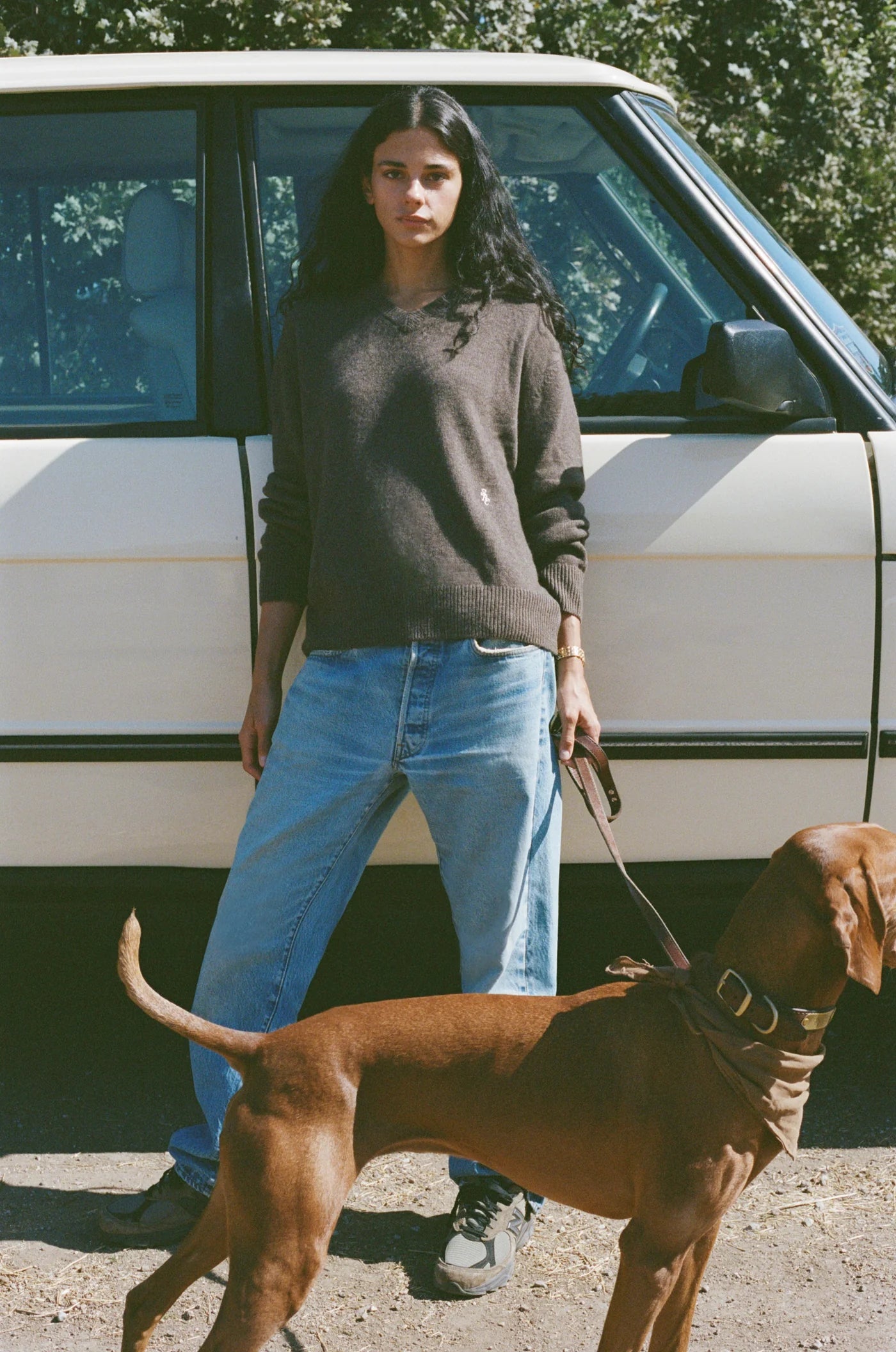 SRC Cashmere V Neck Sweater in Brown