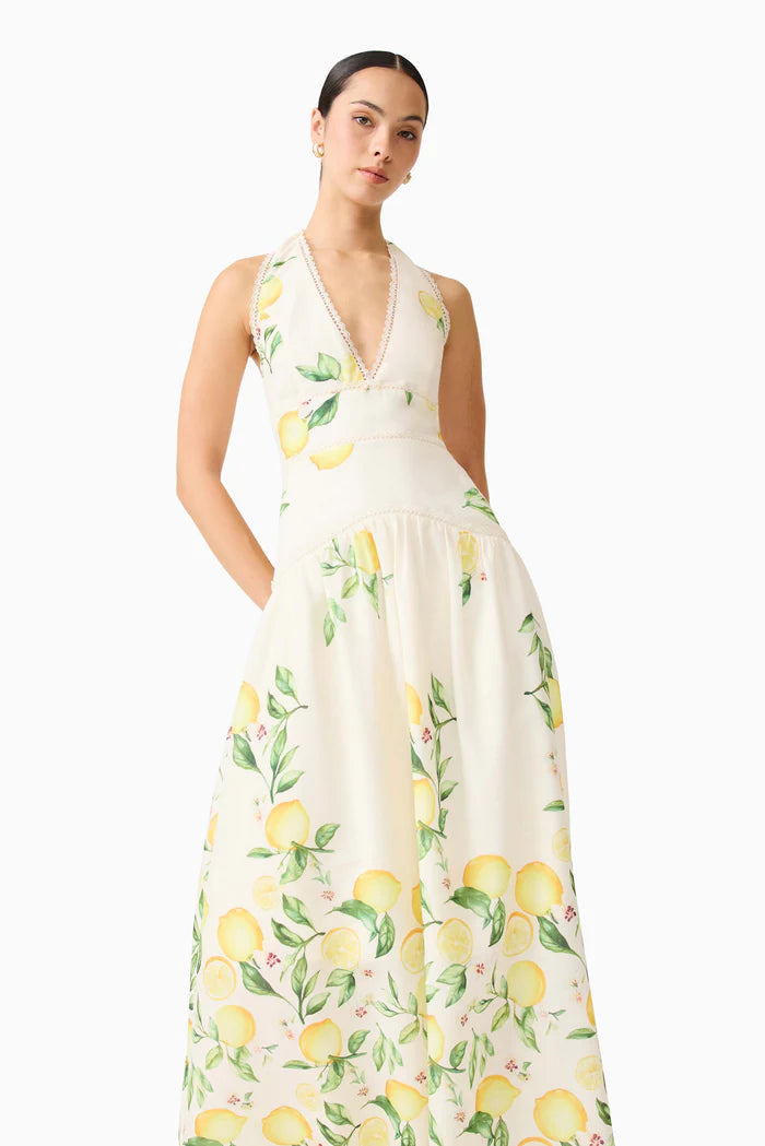 Hana Tiered Lemon Printed Sleeveless Maxi Dress in Yellow