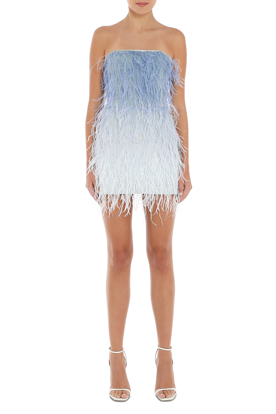 Sofia Feathered Mini Dress