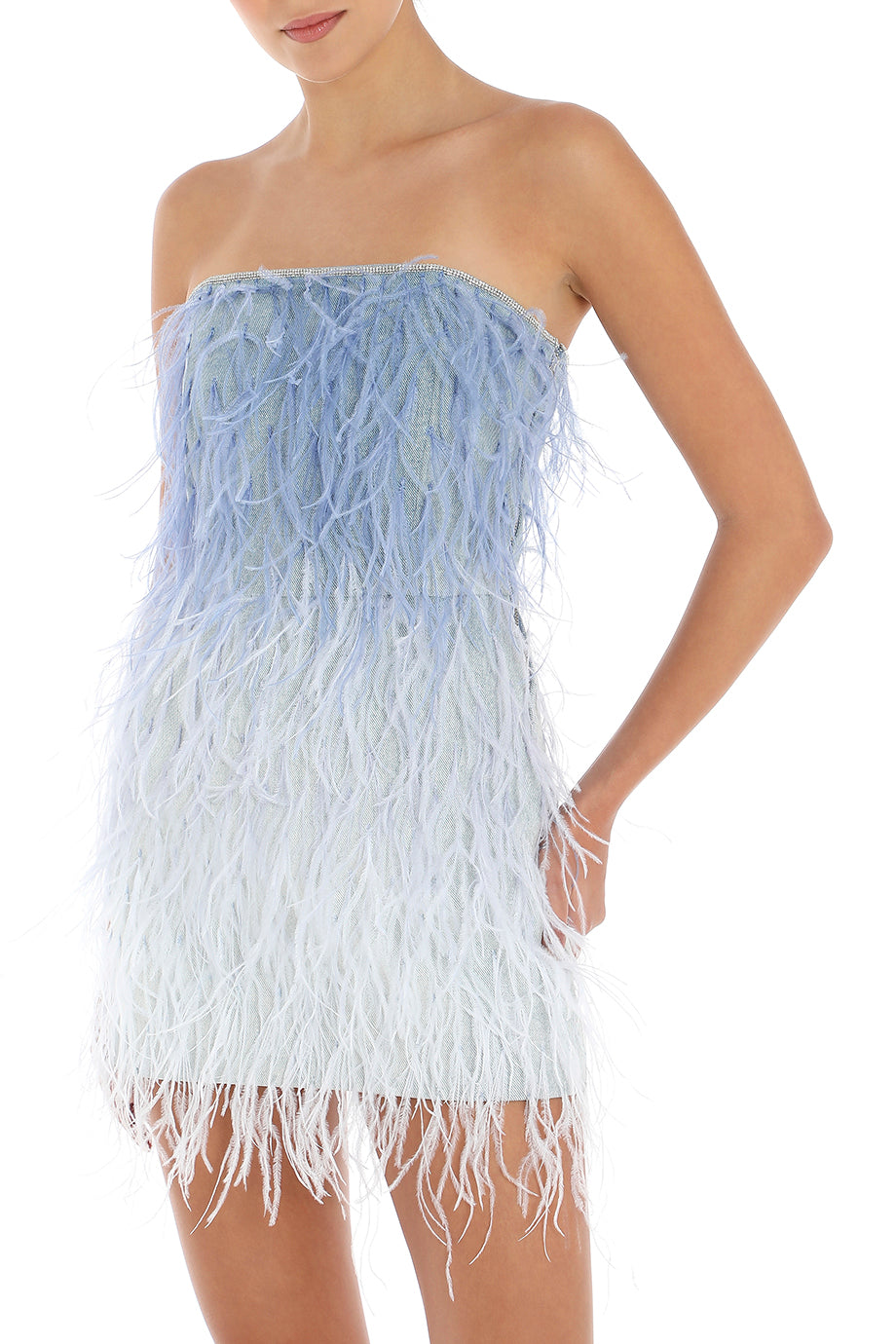 Sofia Feathered Mini Dress