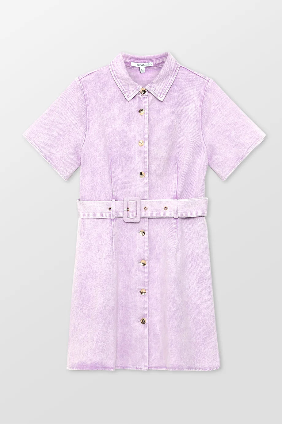 Nat Collared Denim Mini Dress