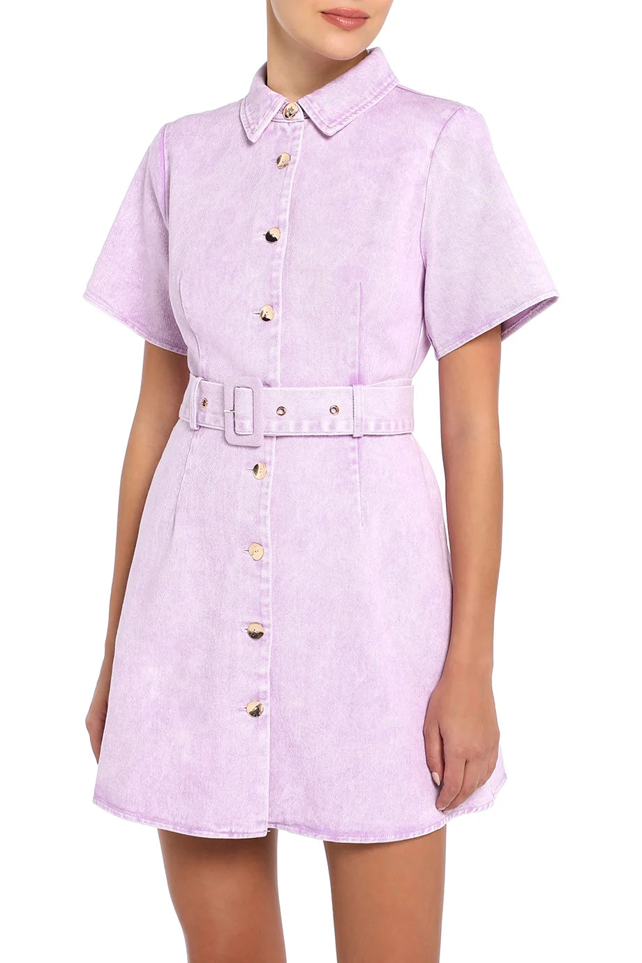 Nat Collared Denim Mini Dress