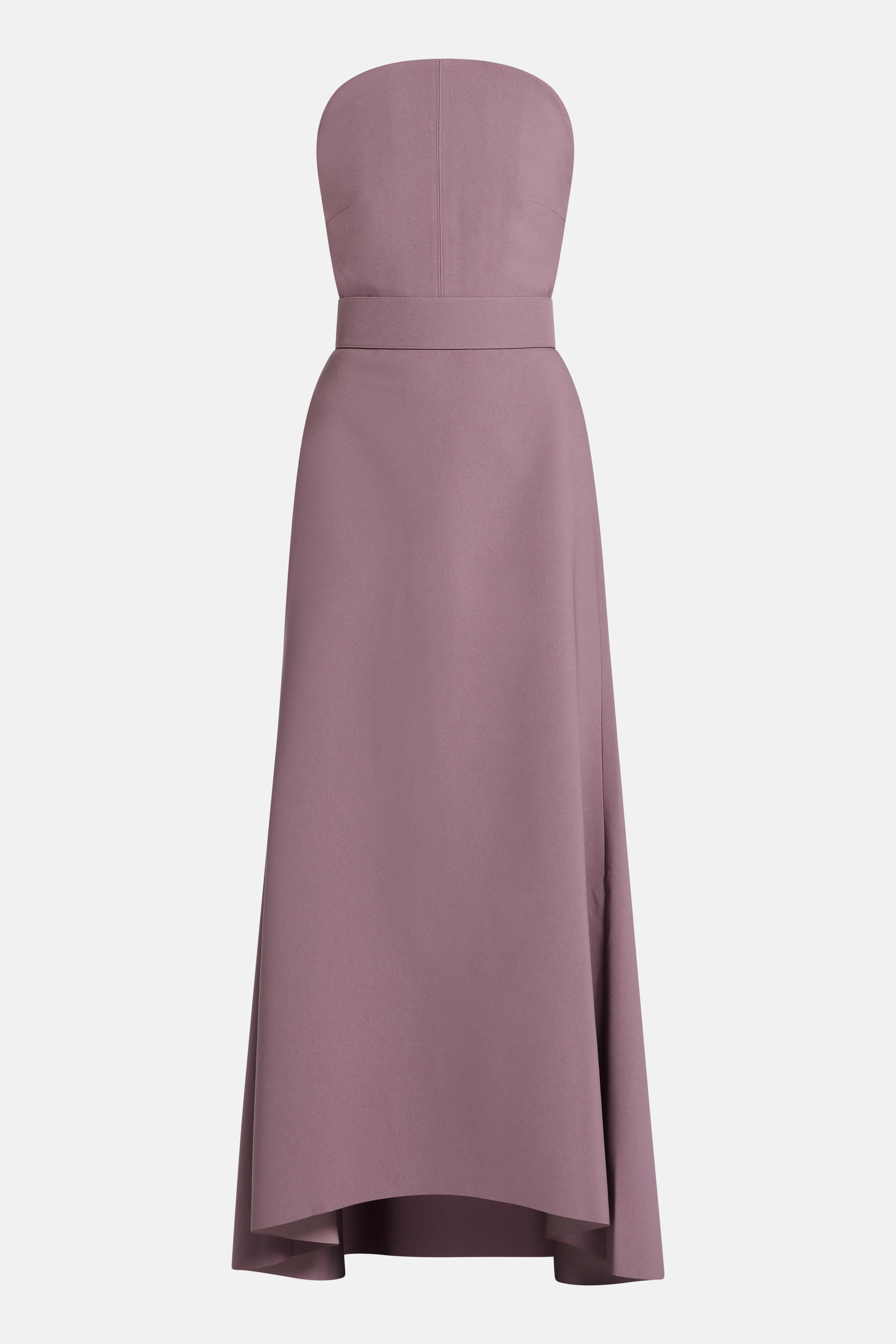 Ember Strapless Maxi Dress in Purple