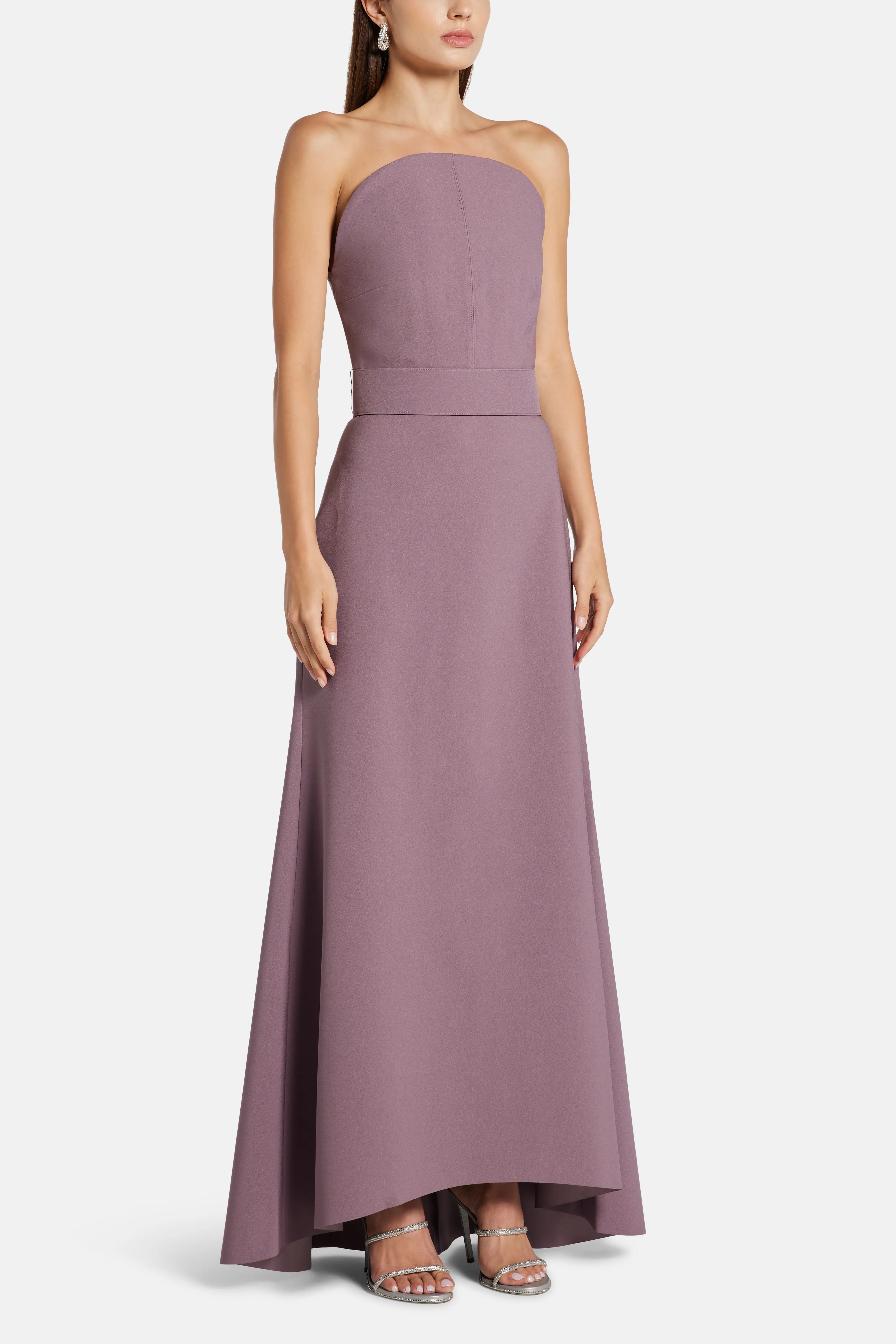 Ember Strapless Maxi Dress in Purple