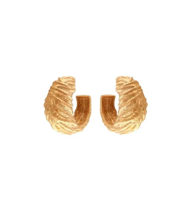 Large Seashell Texture Hoop Earrings in Gold