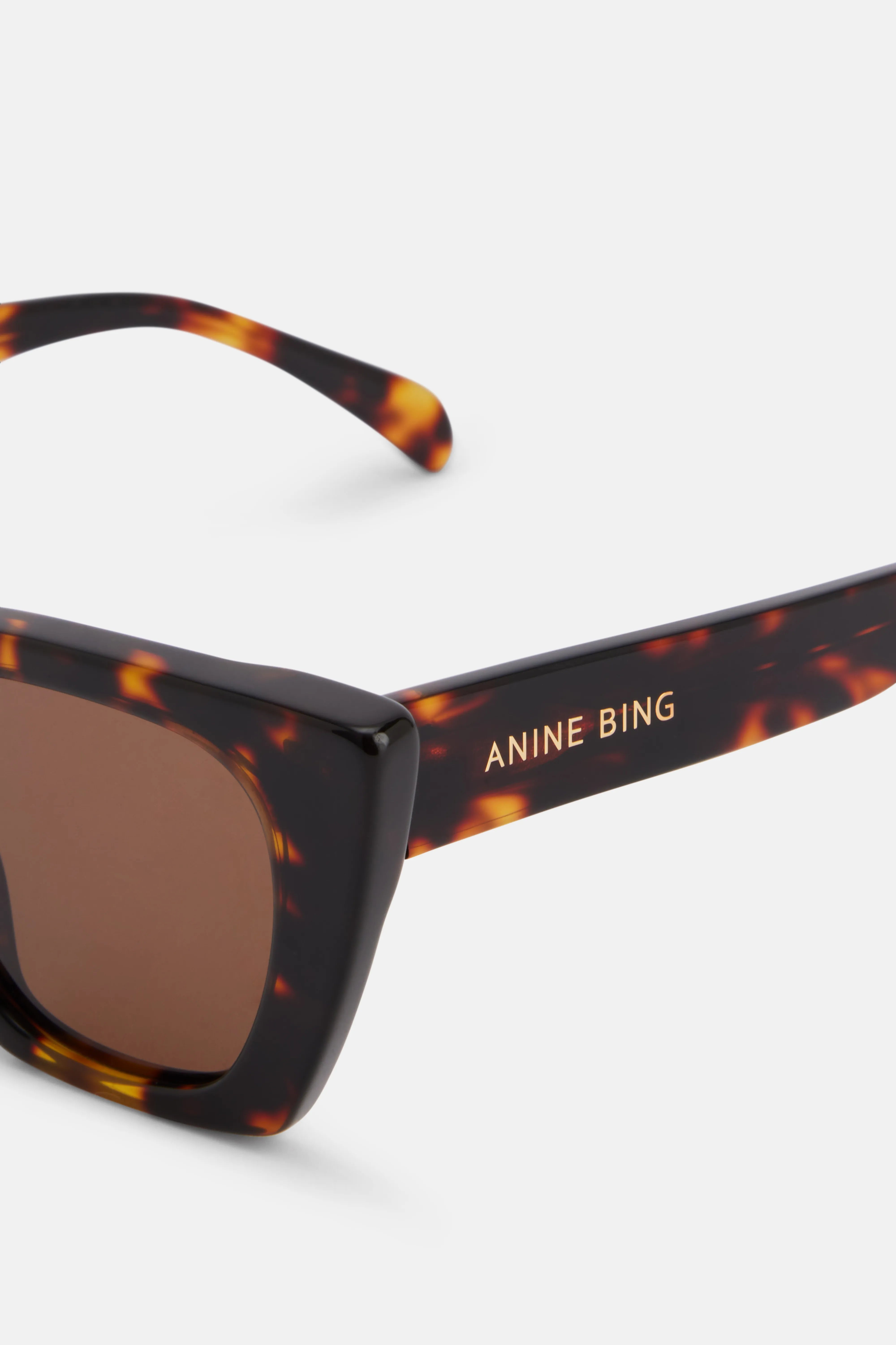 Paris Monogram Sunglasses in Brown