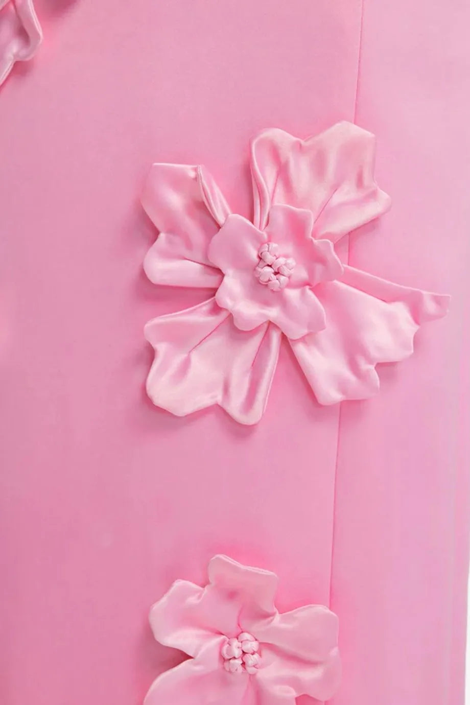 Lucinda Floral Applique Maxi Dress in Pink