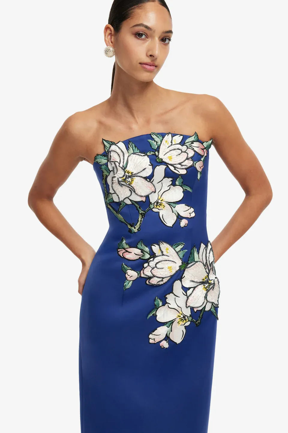 Ava Floral Applique Bustier Maxi Dress in Blue