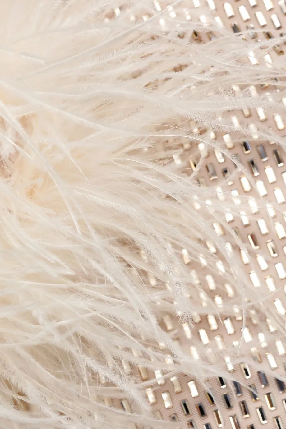 Rhinestone Feather Top in Beige
