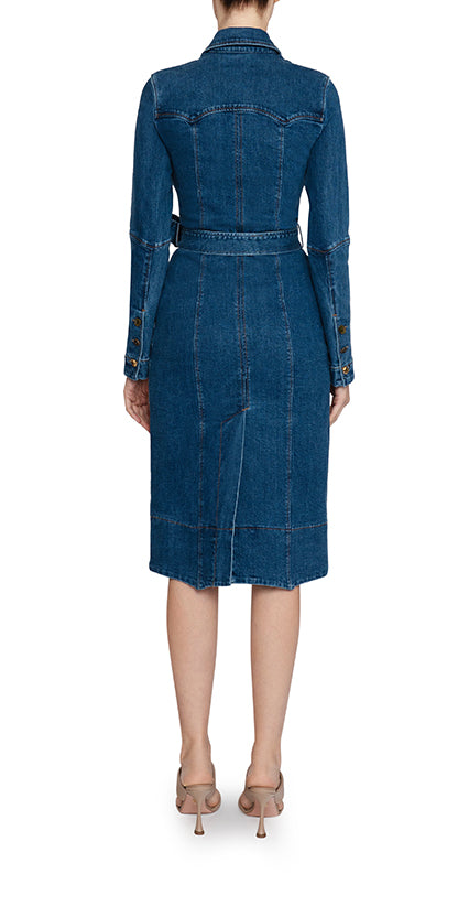 Sasha Dress