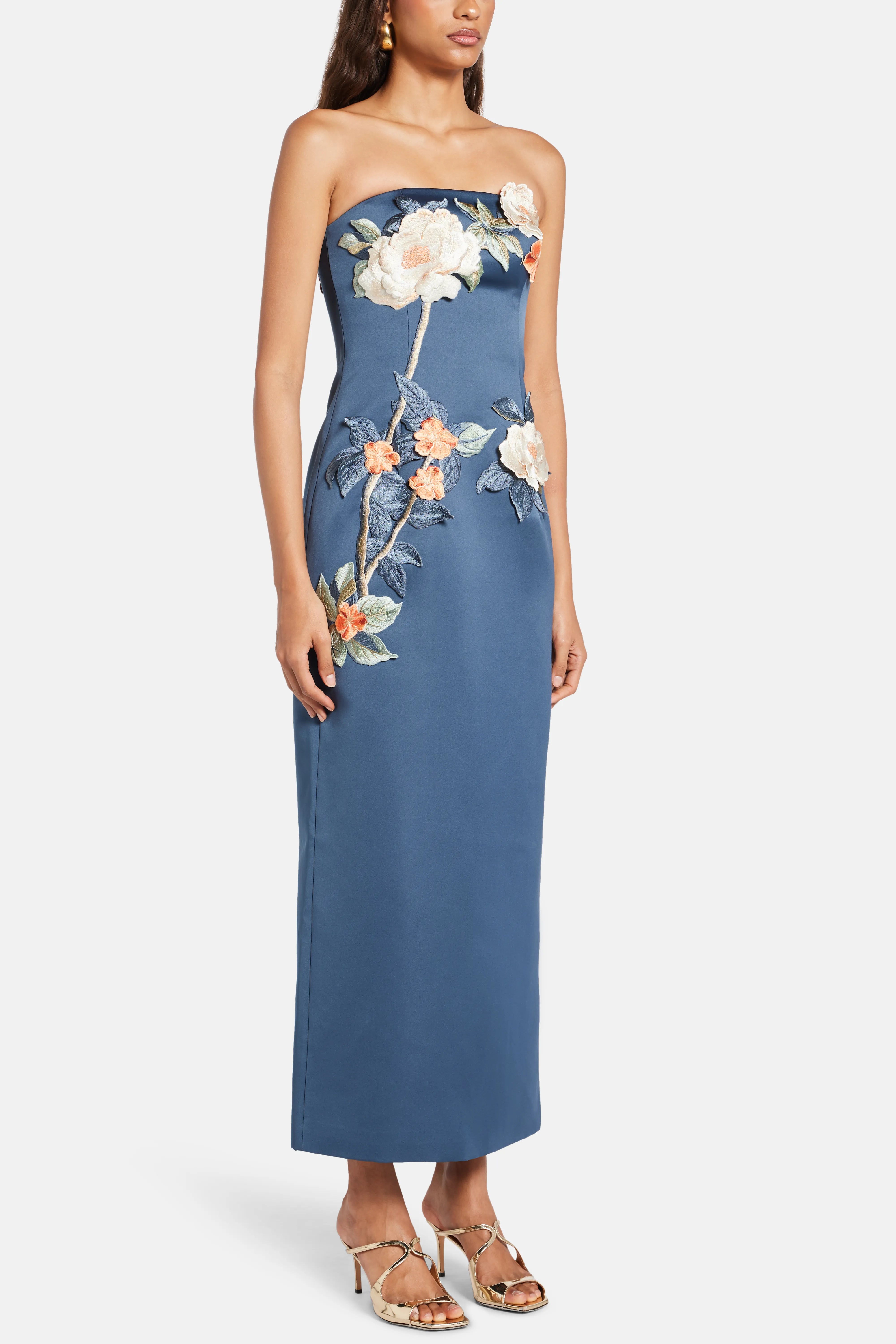 Rayna Applique Floral Bustier Maxi Dress