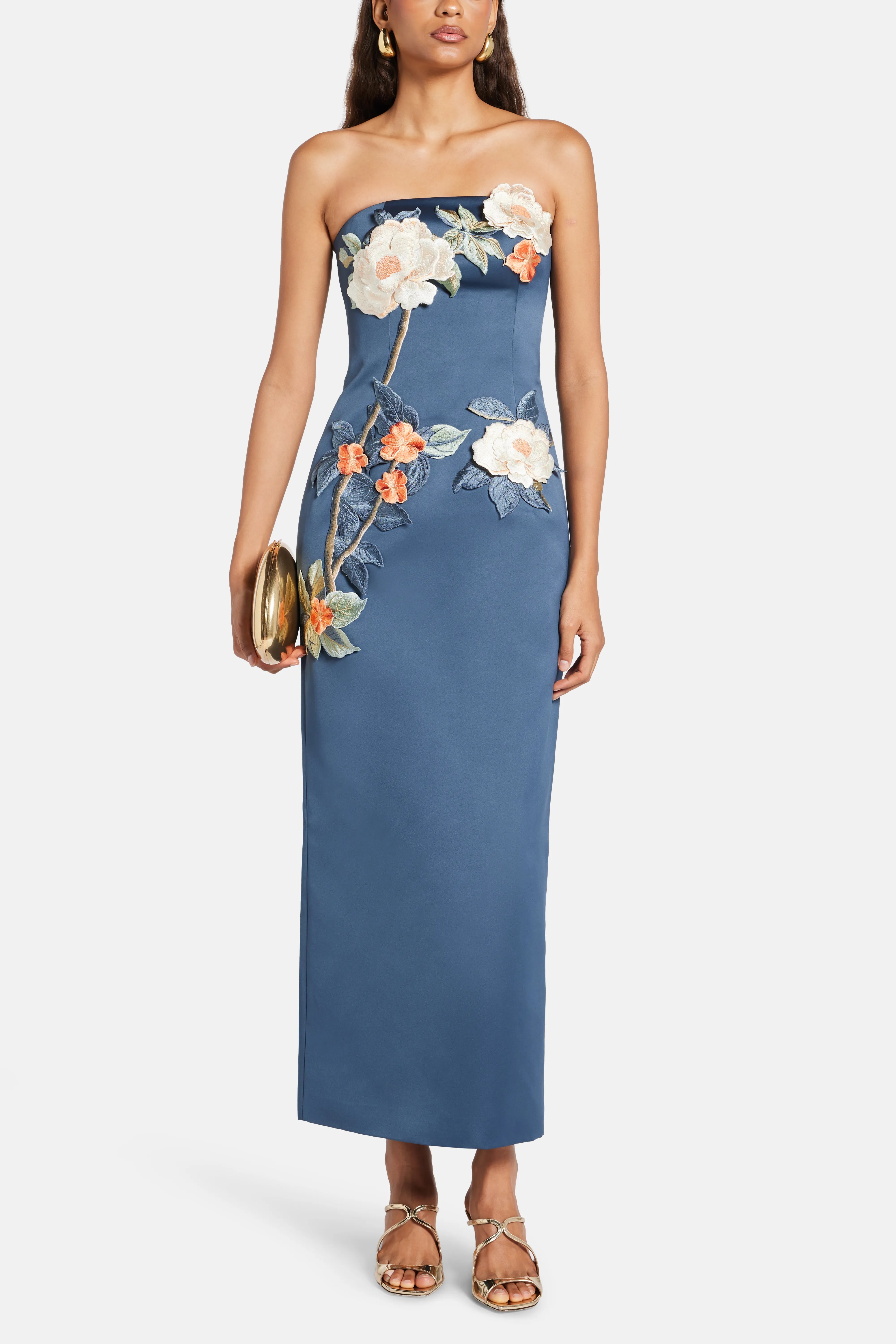 Rayna Applique Floral Bustier Maxi Dress