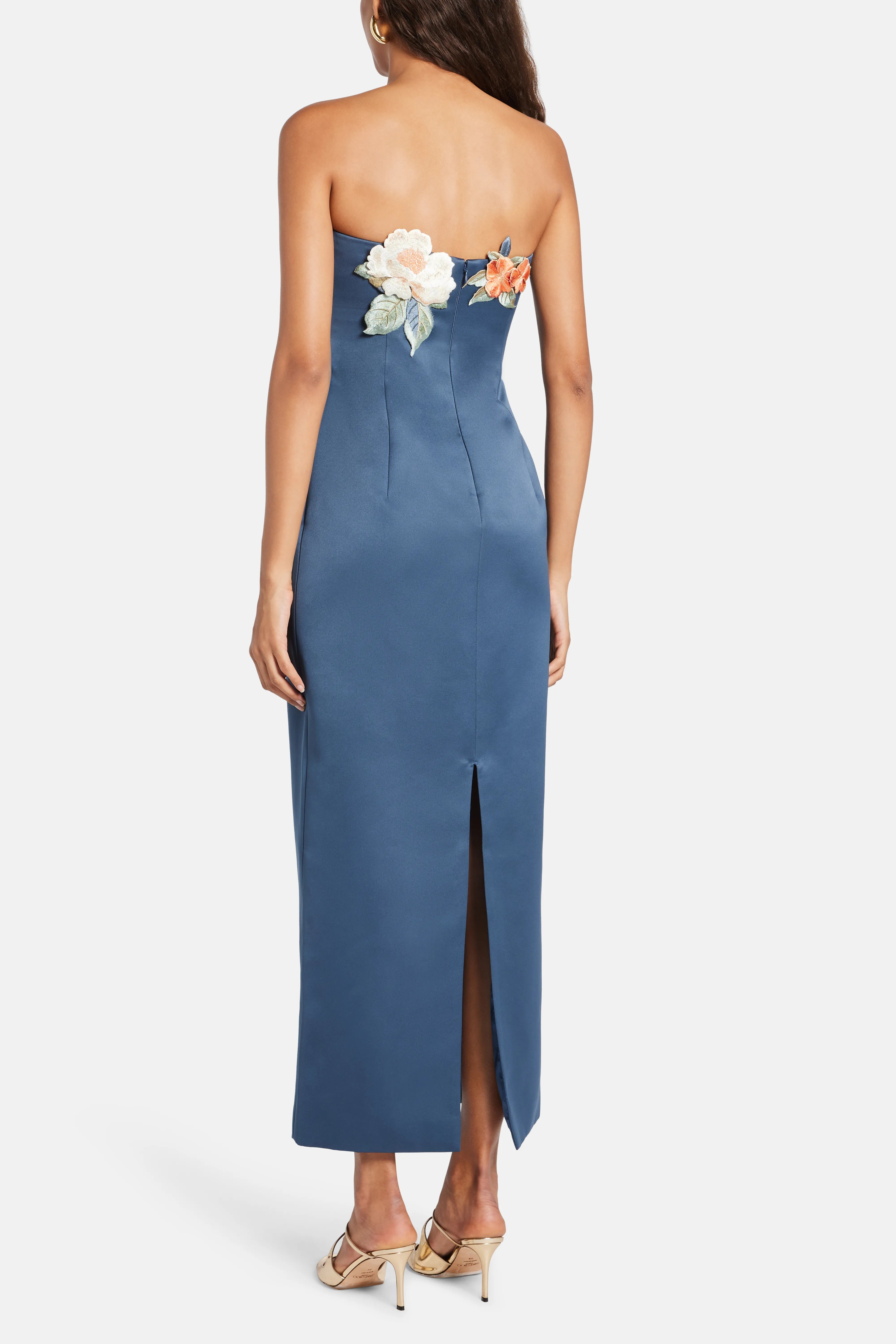 Rayna Applique Floral Bustier Maxi Dress