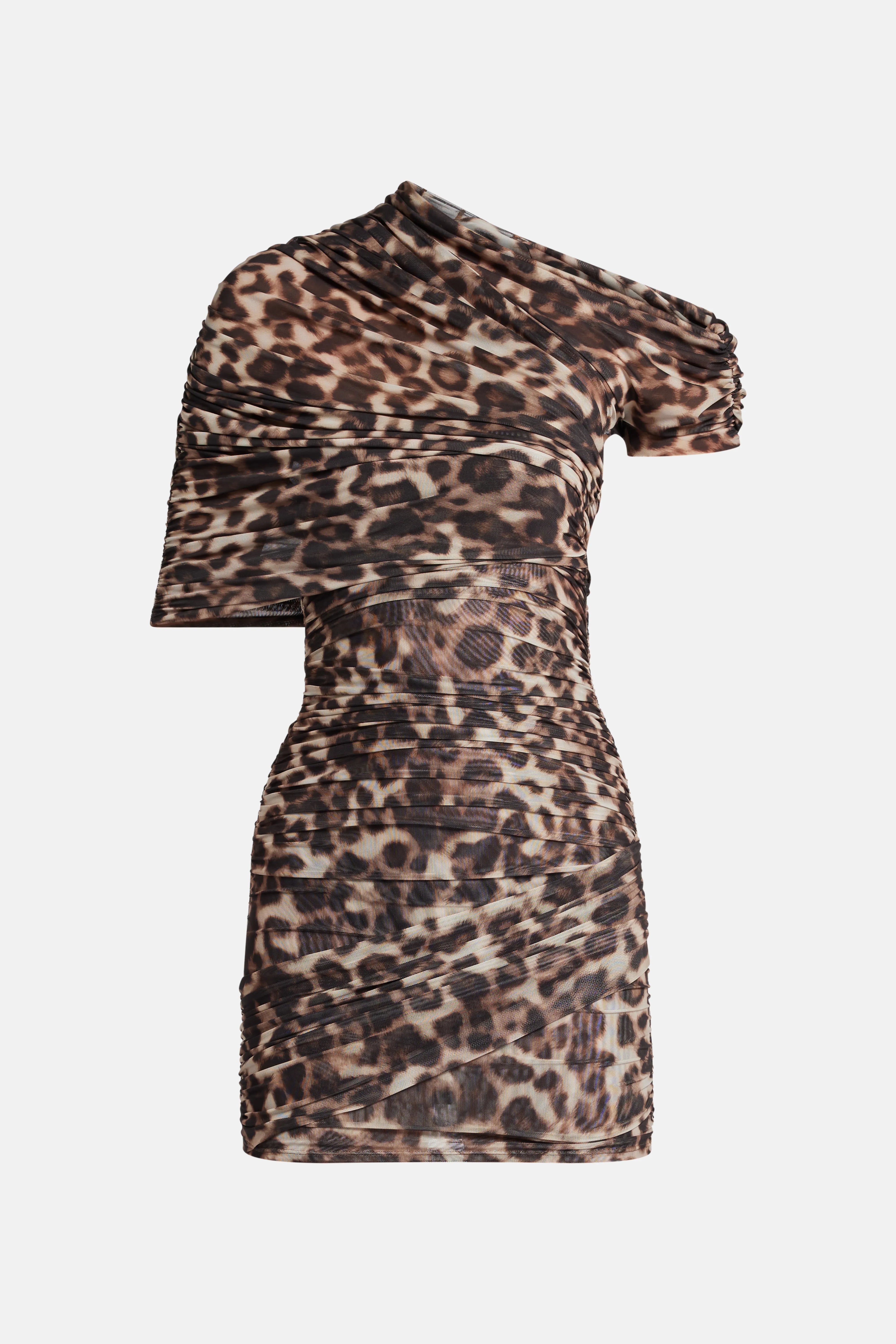 Raja Leopard Print Mini Dress in Brown/ Beige