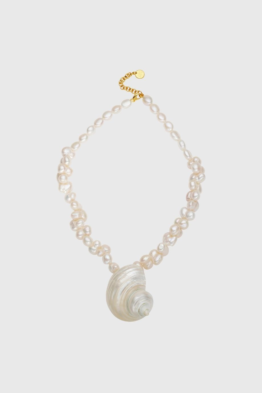 Amber sceats shell necklace