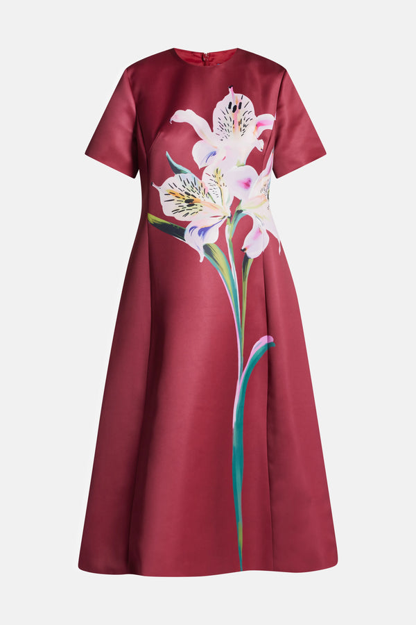 Caroline Short Sleeve Floral Applique Midi Dress In Burgundy