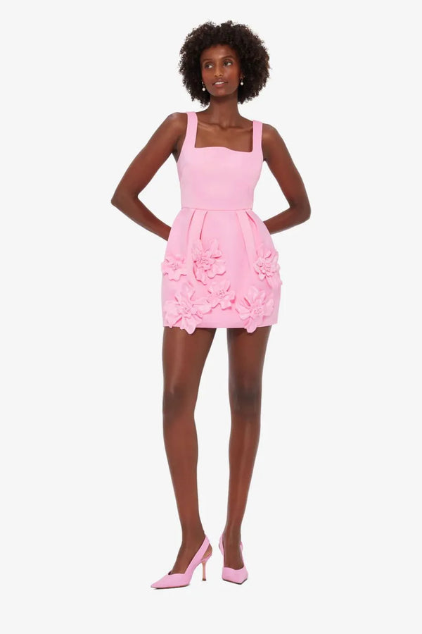 Piper Floral Applique Sleeveless Mini Dress in Pink