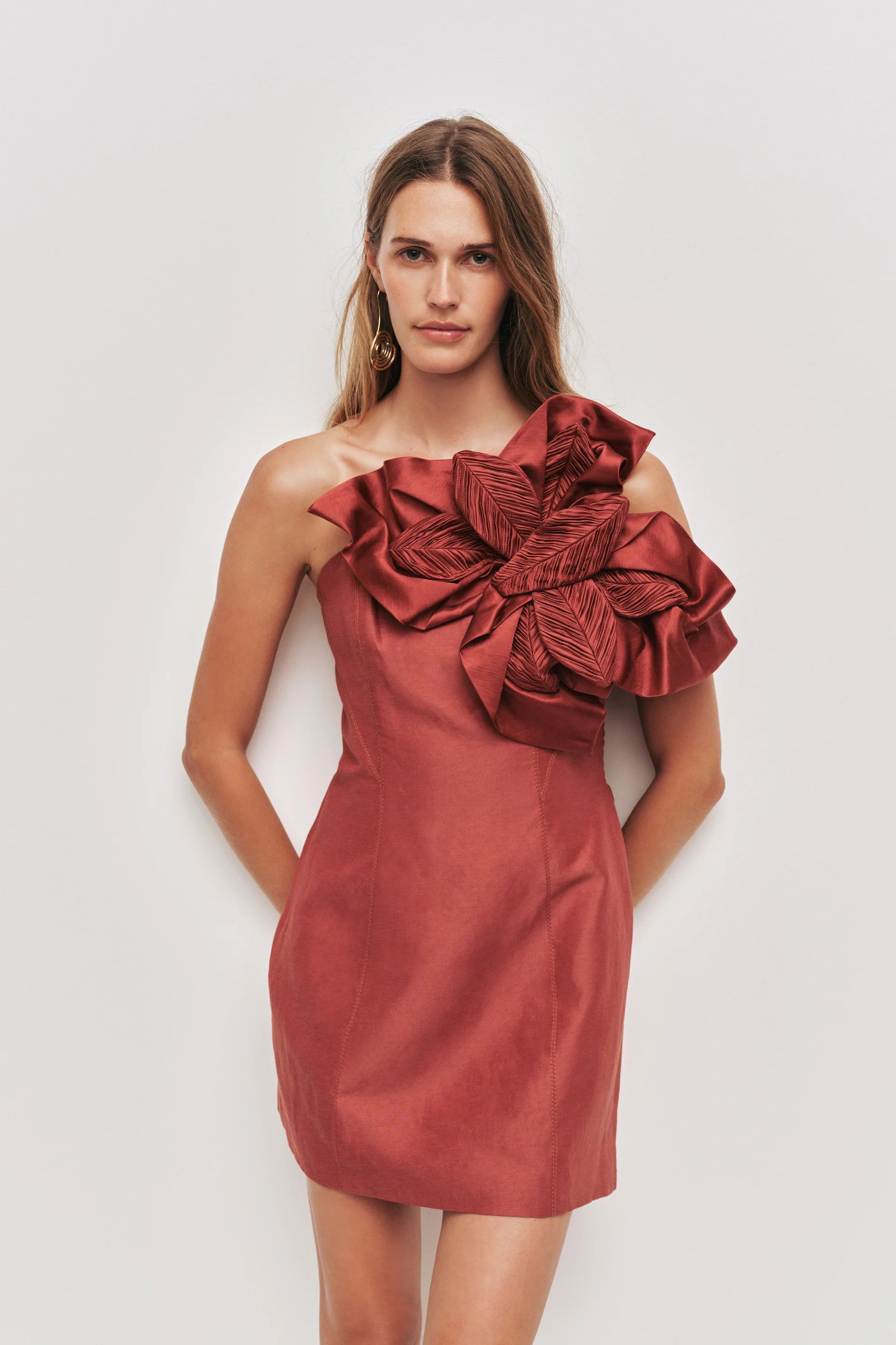 Isla Floral Applique Mini Dress In Brown